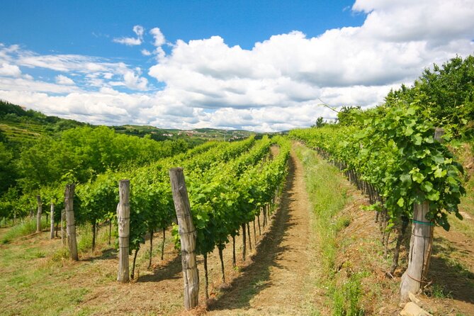 Private Tour of Goriska Brda Wine Hills From Ljubljana - Transportation and Meeting Details