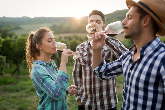 Private Tour of Goriska Brda Wine Hills From Ljubljana - The Sum Up