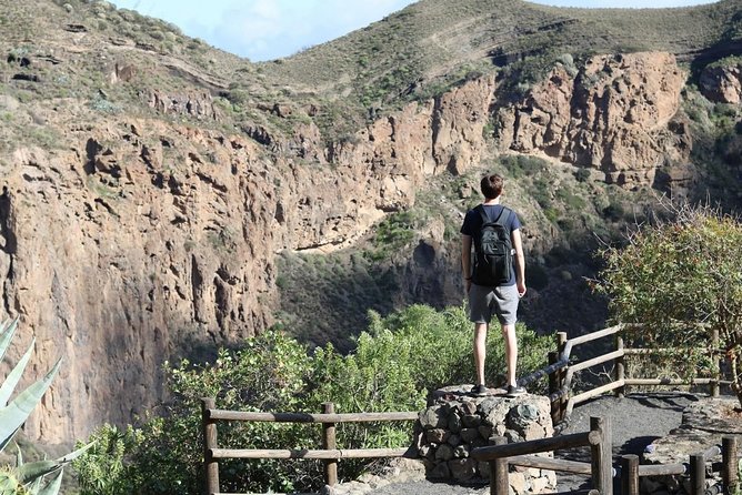 Private Tour of Gran Canaria Volcano and Canary Wine Tasting - Air-conditioned Transportation