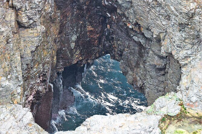 Private tour of Kiama Blowholes, Sea Cliff Bridge and Wattamolla - Key Points