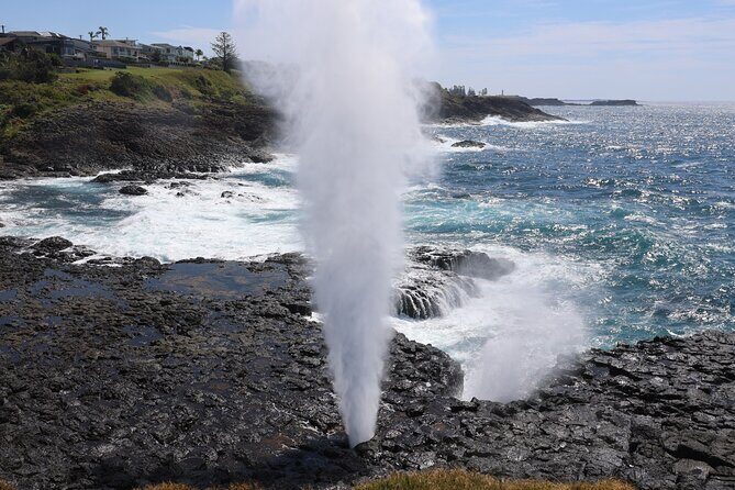 Private tour of Kiama Blowholes, Sea Cliff Bridge and Wattamolla - Who Would Love This Tour?