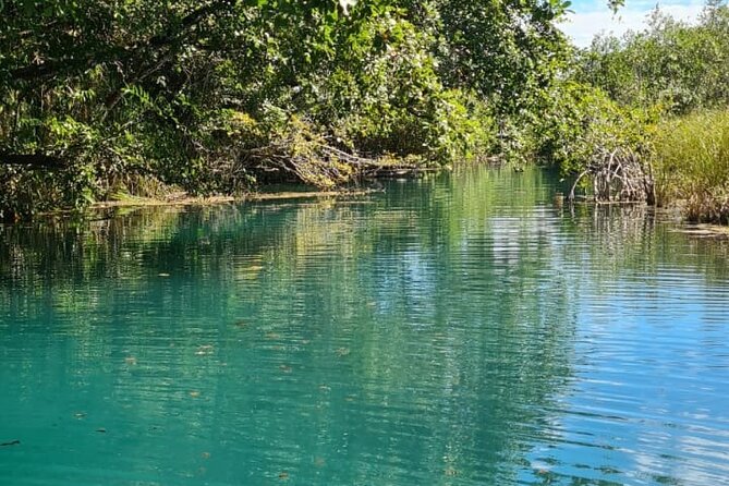 Private Tour of Laguna Bacalar: Explore Exclusive Activities and Places! - Boat and Equipment