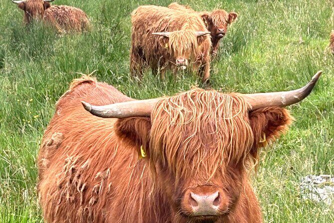 Private Tour of Loch Ness, Glencoe and Highlands from Edinburgh - Who Is This Tour Best For?