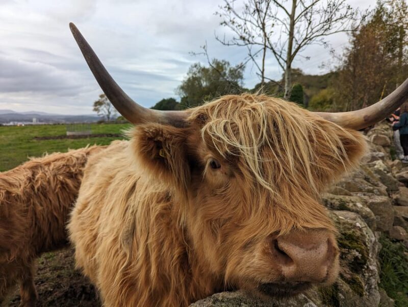 Private Tour of Loch Ness, Pitlochry, Glencoe and Highlands - Key Points