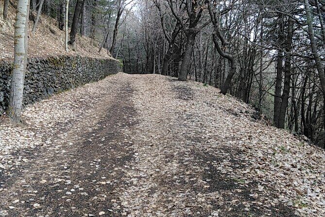 Private tour of Mount Etna and the Alcantara Gorges - An In-Depth Look at the Tour Itinerary