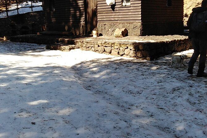 Private tour of Mount Etna and the Alcantara Gorges - Final Thoughts: Who Will Love This Tour?