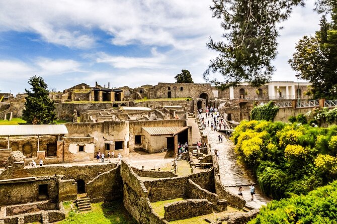 Private Tour of Pompeii Review - Highlights of the Tour