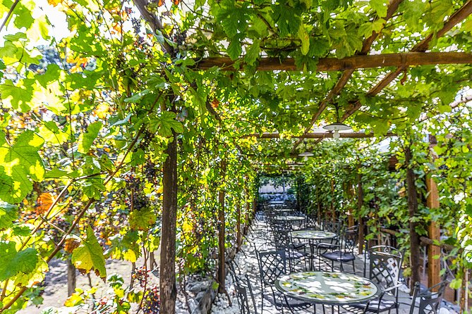 Private Tour of Pompeii Ruins, Organic Wine Tasting and Lunch - Highlights of the Private Tour
