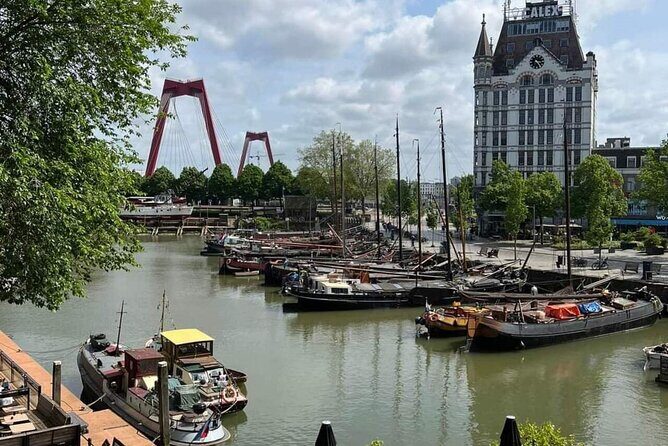 Private Tour of Rotterdam and The Hague including Transfer - Final Thoughts