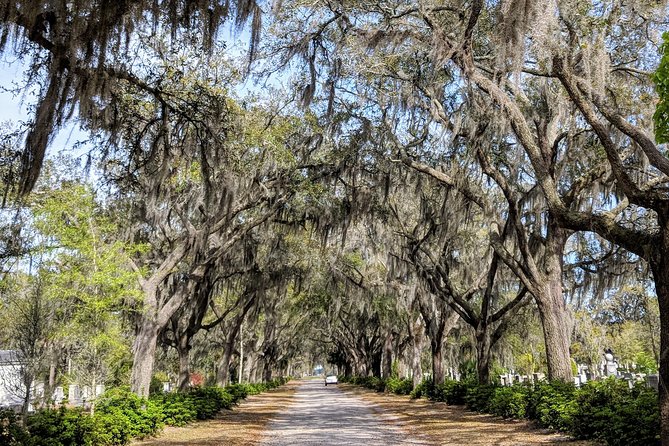 Private Tour of Savannahs Historic/Victorian Districts & Bonaventure Cemetery - Key Highlights