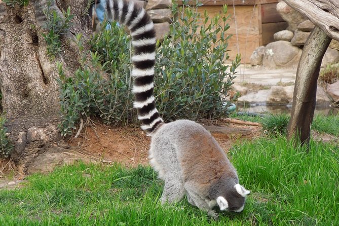 Private Tour of Sonoma Wild Safari Animal Park and Sonoma Redwoods - Pricing and Additional Notes