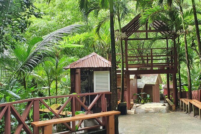 Private Tour of Sulphur Spring and Toraile Waterfall in Soufriere - FAQ