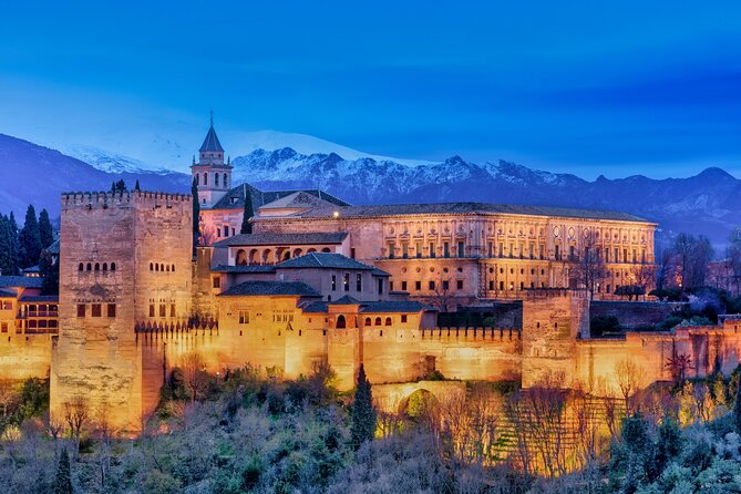 Private Tour of the Alhambra and Granada From Seville - Pricing and Availability