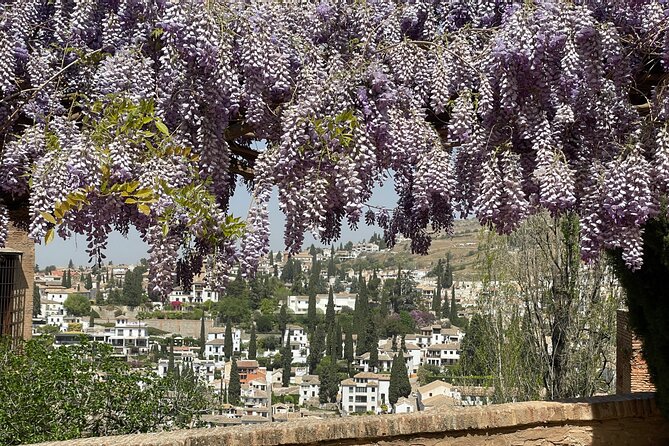 Private Tour of the Alhambra in Granada (Ticket Included) - Guided Tour Experience
