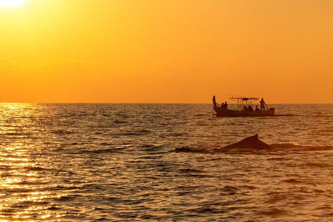 Private Tour of the Beaches of Puerto Escondido in Lancha - Final Thoughts