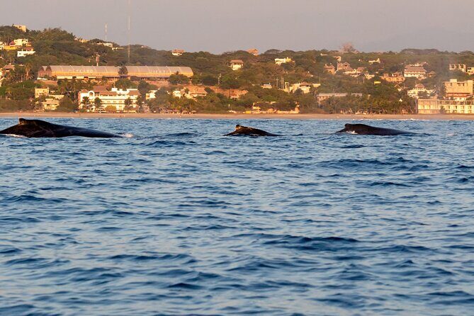 Private Tour of the Beaches of Puerto Escondido in Lancha - FAQ