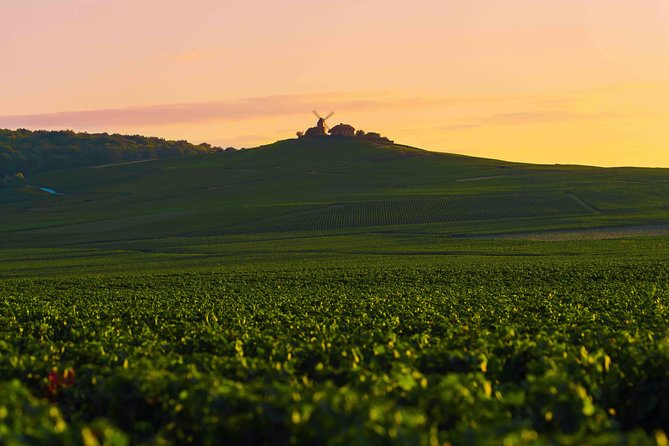 Private Tour of the Champagne Area, Meet Local Producers and Taste Their Champagne, Start From Your Hotel in Paris. - Whats Included in the Experience