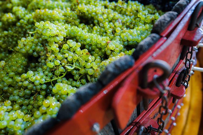 Private Tour of the Champagne Area, Meet Local Producers and Taste Their Champagne, Start From Your Hotel in Paris. - Customer Experiences and Reviews