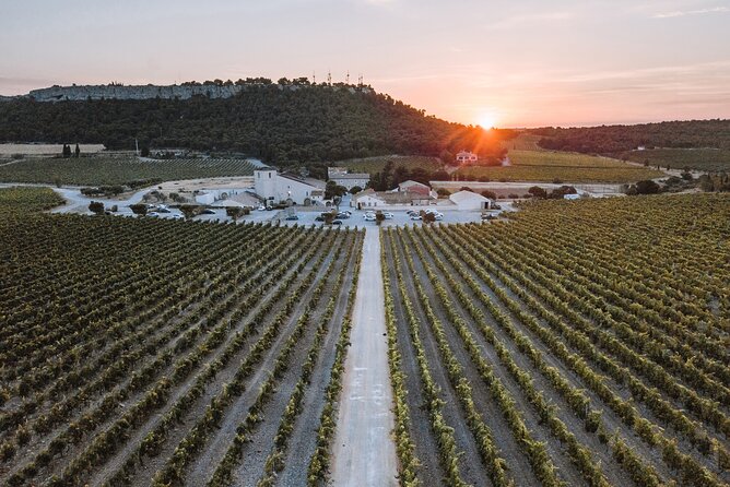 Private Tour of the Château Lhospitalet on an Electric Scooter - Health and Safety Considerations