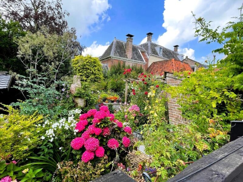 Private Tour of the Dutch Countryside by Car - Who Will Love This Tour?