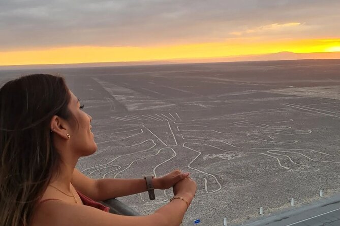Private Tour of the Nazca Lines From Ica - Inclusions