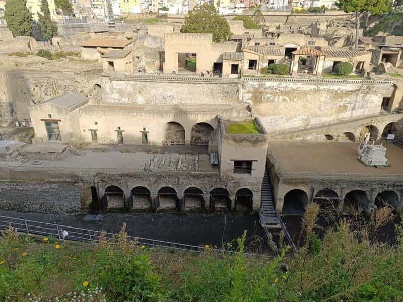 Private Tour of the Ruins of Herculaneum and Vesuvius: with Tickets Included - A Complete Look at the Experience