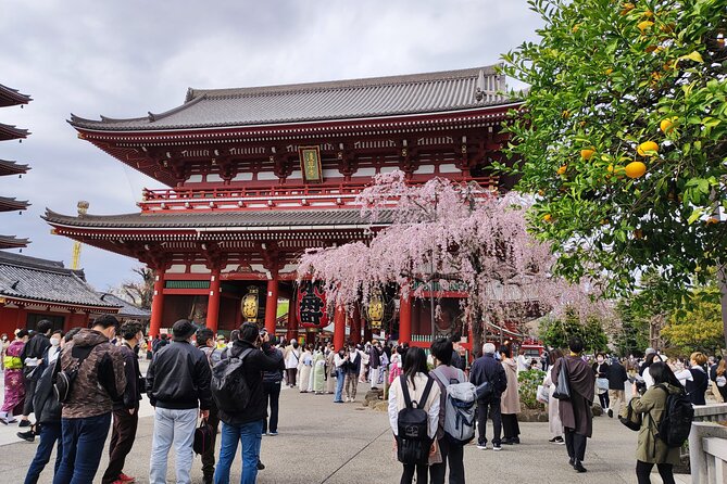 Private Tour of the Secret Corners of Tokyo - Insiders Guide to the City