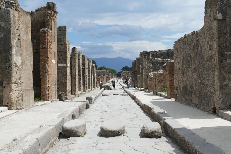 Private Tour of Vesuvio & Pompei - Pickup and Drop-off Options