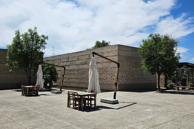 Private Tour of Wineries in San Miguel - What Makes This Tour Stand Out