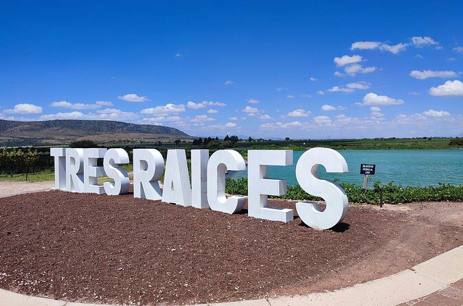 Private Tour of Wineries in San Miguel - FAQs