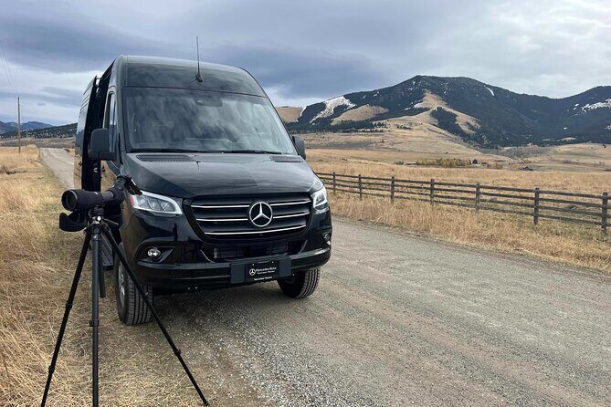 Private Tour of Yellowstones Natural Wonders from Jackson Hole - Authentic Feedback and Practical Insights