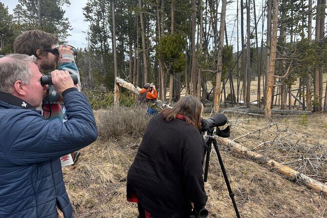 Private Tour of Yellowstones Natural Wonders from Jackson Hole - FAQ