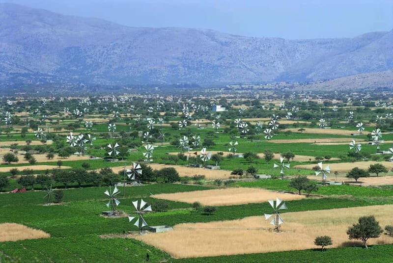 Private Tour, Olive Mill, Scotino Cave, Lasithi Plateau H/D - Introduction