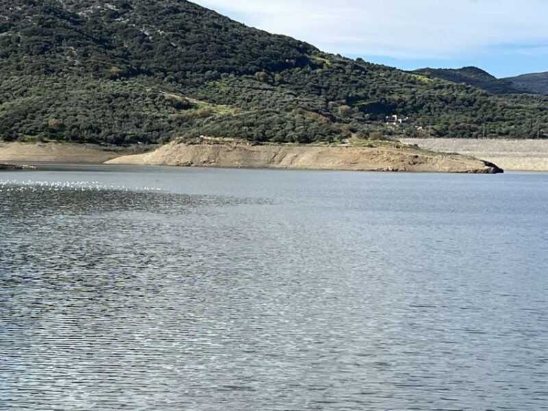 Private Tour, Olive Mill, Scotino Cave, Lasithi Plateau H/D - Who This Tour Is Best For