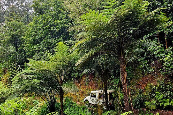 Private Tour on Madeira Island (max 6 people) - Ponta do Sol & Ponta do Sol Pier: Coastal Charm and Scenic Tranquility
