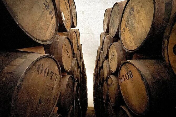 Private Tour one day in Guachimontones and La Fortaleza Distillery - Who Is This Tour Best For?