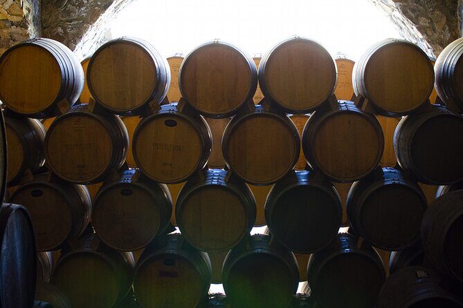 Private Tour one day in Los Guachimontones and Tequilera Cava de Oro - Discovering Guachimontones: An Architectural Wonder