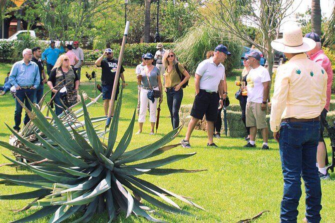 Private Tour one day in Los Guachimontones and Tequilera Cava de Oro - Practical Details: What’s Included and What to Expect