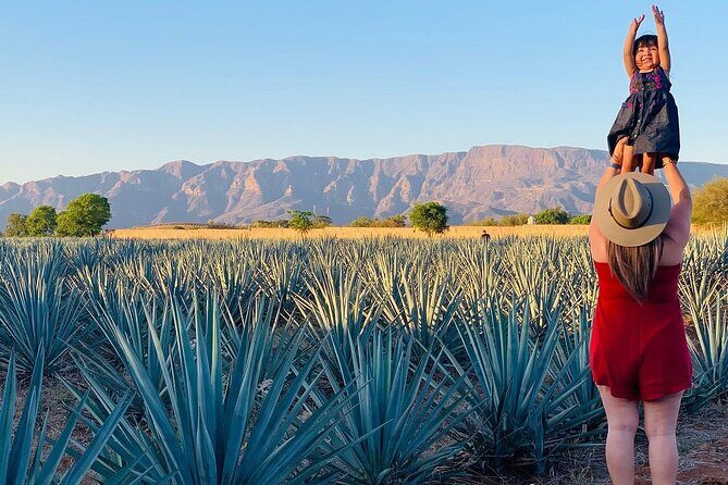Private Tour one day of Adventure in Tequila and Orendain Tequila - Final Thoughts: Who Will Love This Tour?