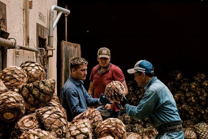 Private Tour one day of Adventure in Tequila and Tequilera Cascahuin - An In-Depth Look at the Tour Experience