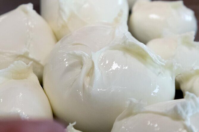 Private Tour: Paestum, Mozzarella Bufala guided tour and lunch - The Journey Begins: From Salerno to Italy’s Ancient Heart