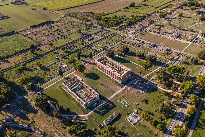 Private Tour: Paestum, Mozzarella Bufala guided tour and lunch - Analyzing the Value and Experience