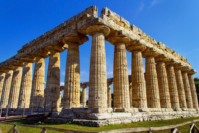 Private Tour: Paestum, Mozzarella Bufala guided tour and lunch - Authenticity and Expertise: What Travelers Say