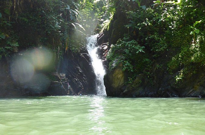 Private Tour Paria Waterfall from Port of Spain - Authentic Experiences and Traveler Feedback