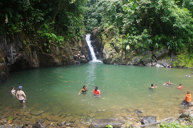 Private Tour Paria Waterfall from Port of Spain - Who Is This Tour Best For?