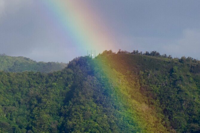 Private Tour-Pearl Harbor with Arizona Memorial + Scenic Lookouts - Authentic Insights and Traveler Perspectives