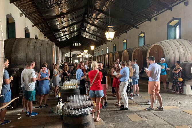 Private Tour, Pena Palace,Sintra,Cascais and Full Day Wine Tasting - Transportation and Comfort