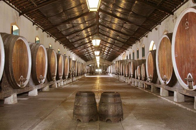 Private Tour, Pena Palace,Sintra,Cascais and Full Day Wine Tasting - Who Would Enjoy This Tour?