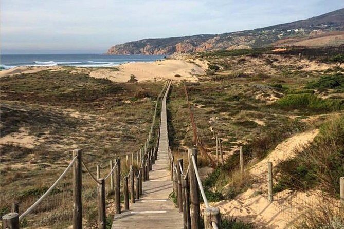 Private Tour, Pena Palace,Sintra,Cascais and Full Day Wine Tasting - Final Thoughts