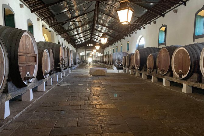 Private Tour, Pena Palace,Sintra,Cascais and Full Day Wine Tasting - FAQ